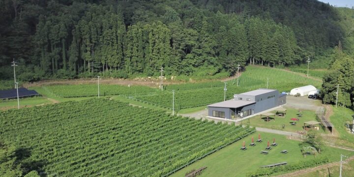 秋保ワイナリーの建物とブドウ畑を上空から望む遠景